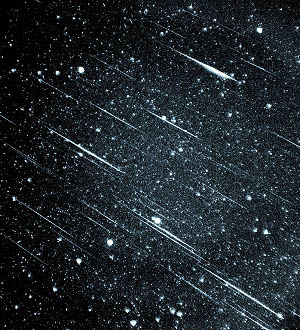 A photograph of the 1966 Leonid meteor storm by A. Scott Murrell.  40 meteors can be counted in the 10-12 minute exposure.  Credit:  P. Jenniskens/NASA-ARC http://leonid.arc.nasa.gov/ 